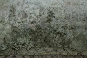 Cement walls with moss and damage photo