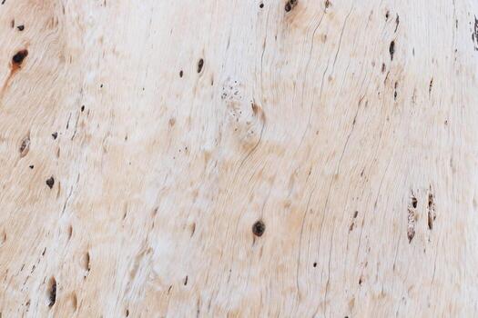 Pale and old surface with stripe of peeled trunk of tree. photo