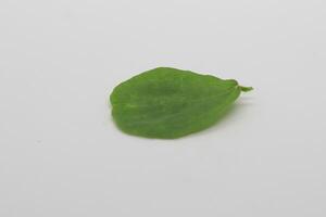 Leaves isolated on white background photo