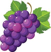 A flat design style of a bunch of grapes with a green leaf. vector