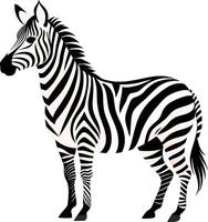 A black and white drawing of a zebra vector