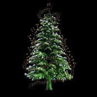 A christmas tree with lights on it photo