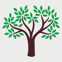 tree icon isolated on white background vector