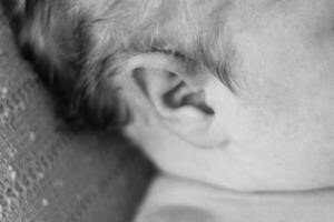 A close up of a baby's ear with a black and white photo