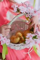 A little girl holding a basket with two ducks in it photo