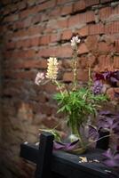 A vase of flowers sitting on a table photo