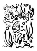 A black and white drawing of a sea scene with a shell and seaweed. The drawing is abstract and has a moody, mysterious feel to it vector