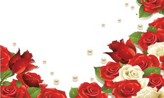Romantic Rose Frame with Dew and Pearls vector