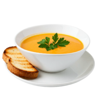 Visually Appealing Pumpkin Soup in White Bowl with Toast Isolated png