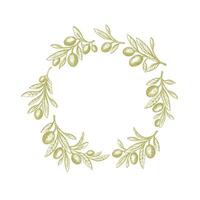 Olive circle pattern. Green branch, texture leaves vector