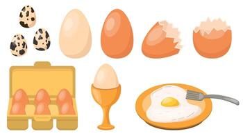 Chicken eggs set, quail eggs, fried or raw, broken eggshell, poached egg, package of eggs in flat style. vector