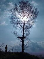 A person standing under a tree with a cross photo