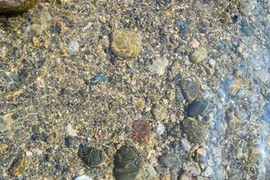 Under bright sunlight, a riverbed is visible with various smooth pebbles and stones glimmering beneath the clear water, creating a serene natural atmosphere. photo