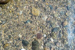 Sunlight filters through clear water, highlighting a variety of smooth pebbles and stones on the riverbed, creating a serene and picturesque environment. photo