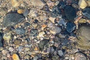 A variety of colorful pebbles and smooth stones lie beneath clear water, reflecting sunlight at a tranquil lakeside under a blue sky in the afternoon. photo