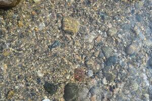 The sunlight filters through clear water, showcasing an array of smooth, colorful pebbles resting on the streambed, enhancing the natural beauty of the landscape. photo