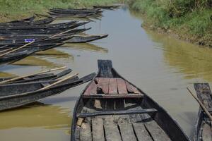 Wooden boats lie idle in a narrow waterway, surrounded by green vegetation. The calm water reflects the peaceful atmosphere of this serene environment. photo