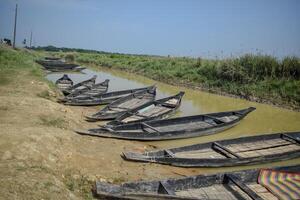 Several traditional wooden boats are lined up along a calm waterway, reflecting the clear sky and surrounded by verdant grasslands. The scene captures a peaceful rural atmosphere. photo