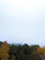 A panoramic view of the Curonian Spit in Kaliningrad Oblast on a foggy autumn day. The scene features a vibrant mix of yellow and green treetops with a faint sea horizon in the background photo