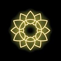 Glowing neon light creating a flower mandala on a black background vector