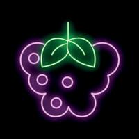 Glowing neon sign depicting a blackberry with leaves on a black background vector