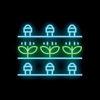 Neon icon of plants growing under lamps on shelves representing indoor farming vector