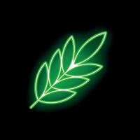 Neon green wheat branch glowing on black background vector