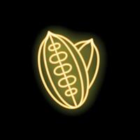 Glowing neon sign of a cocoa pod with beans on black background vector