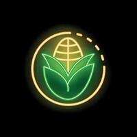 Neon icon of corn cob with leaves for gmo free product vector