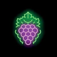 Neon sign representing a bunch of grapes for winemaking or juice production vector