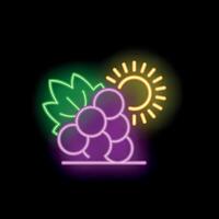 Neon sign representing a bunch of grapes ripening in the sun vector