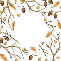 Acorns, bare tree branches, yellow leaves, round frame. All objects are hand-drawn with brown, yellow watercolor. Watercolor illustration. For printing on fabric, paper, for invitations, postcards vector