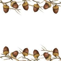 Acorns, bare tree branches, square frame. All objects are hand-painted with watercolors on a white background. Watercolor illustration. For printing on Thanksgiving cards and invitations, decoration vector