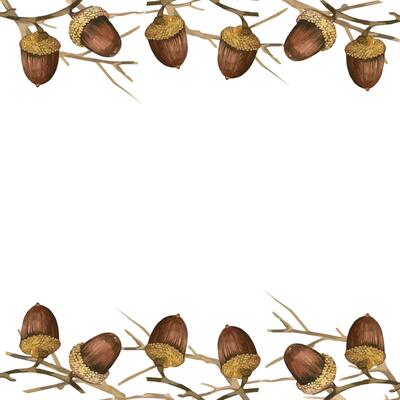 Acorns, bare tree branches, square frame. All objects are hand-painted with watercolors on a white background. Watercolor illustration. For printing on Thanksgiving cards and invitations, decoration