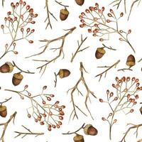 Tree branches, viburnum berries, acorns hand-drawn in watercolor on a white background. Seamless watercolor pattern. Suitable for printing on fabric, paper, wrapping paper, scrapbooking and cards vector