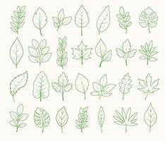 Set of hand drawn leaves. Botanical illustration in sketch style. Template design for decoration, invitations, postcards, print. vector
