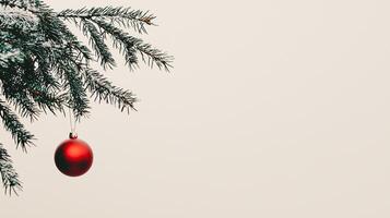 Christmas tree with red ball hanging from branch photo