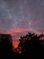 A sunset with clouds and trees in the background photo