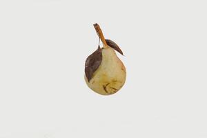 A single pear with a stem and two dark brown leaves is displayed against a plain background photo
