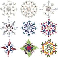 Set of snowflakes with botanical elements vector