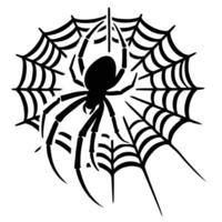 Spider web on a white background vector