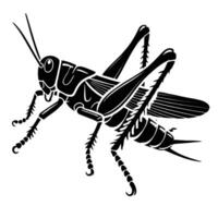 A black and white silhouette of a grasshopper vector