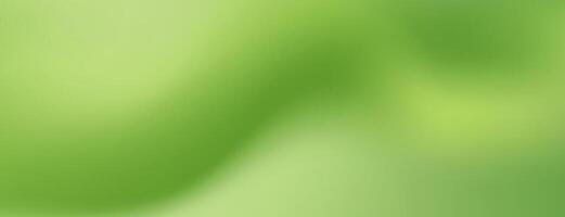 Serene and tranquil abstract banner with a soft light green gradient. vector