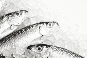 Fresh fish on ice showcasing a natural texture for culinary and seafood market concepts photo