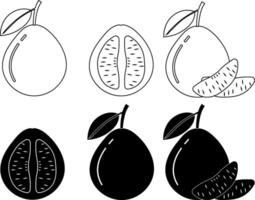 outline silhouette pomelo fruits icon set vector