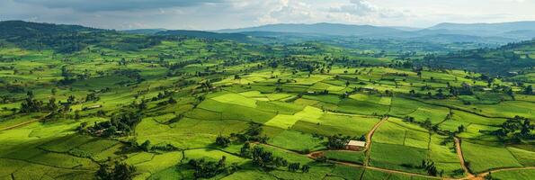 Vast Farmland and Agricultural Fields. A aerial shot of farmland with crops, fields, and dirt roads photo