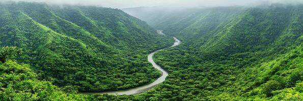 Lush Green Forest and River Valley. Breathtaking bird eye view of dense forest with winding river photo