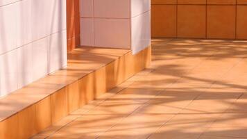 Sunlight and tree branch shadow on surface of brown walkway tile floor with white tile wall outside of vintage house, home exterior architecture background in minimal style photo
