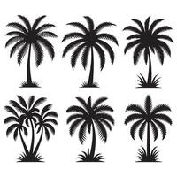 Black Palm Trees Set Isolated On White Background. Palm Silhouettes. Design Of Palm Trees For Posters, Banners And Promotional Items. Illustration. Palm Icon On White Background vector