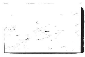 Soft Black Monochrome Patterns on White Background for Aesthetic Appeal vector